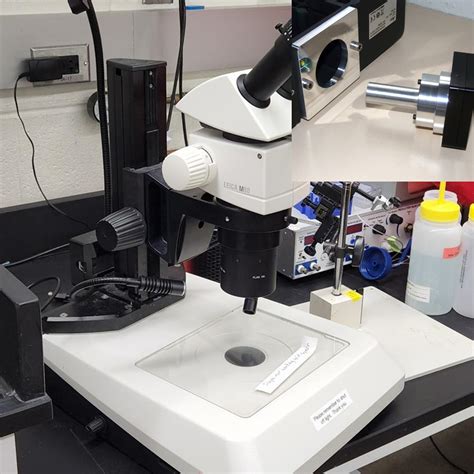 light for microscope|Microscope Illuminators .